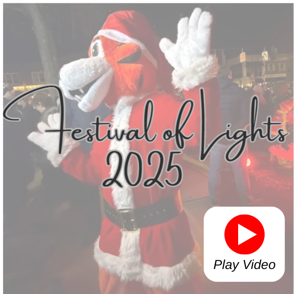 festival of lights 2025 thumbnail